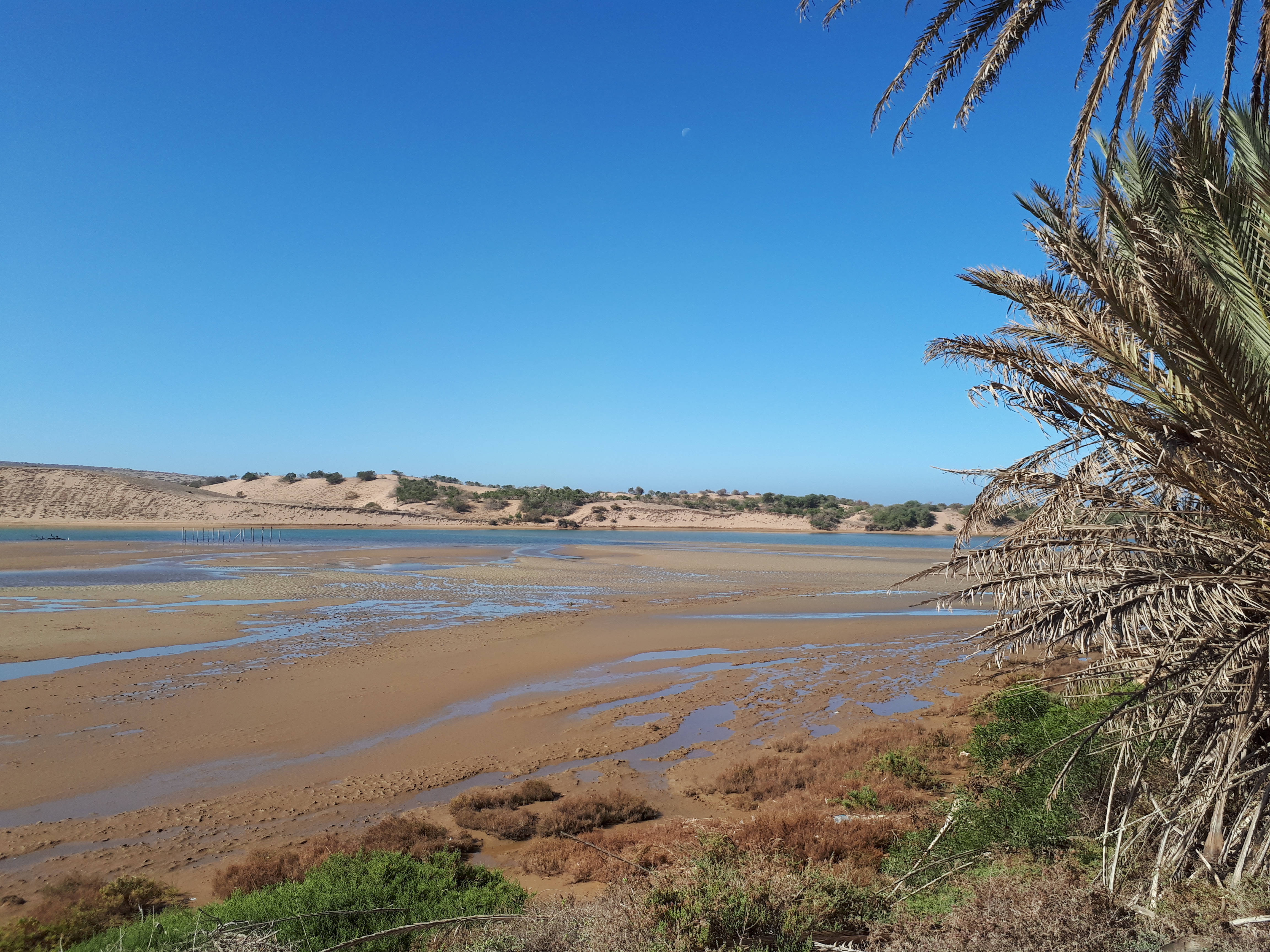 Paysages naturels du Parc National de Souss-Massa, près d’Agadir au Maroc